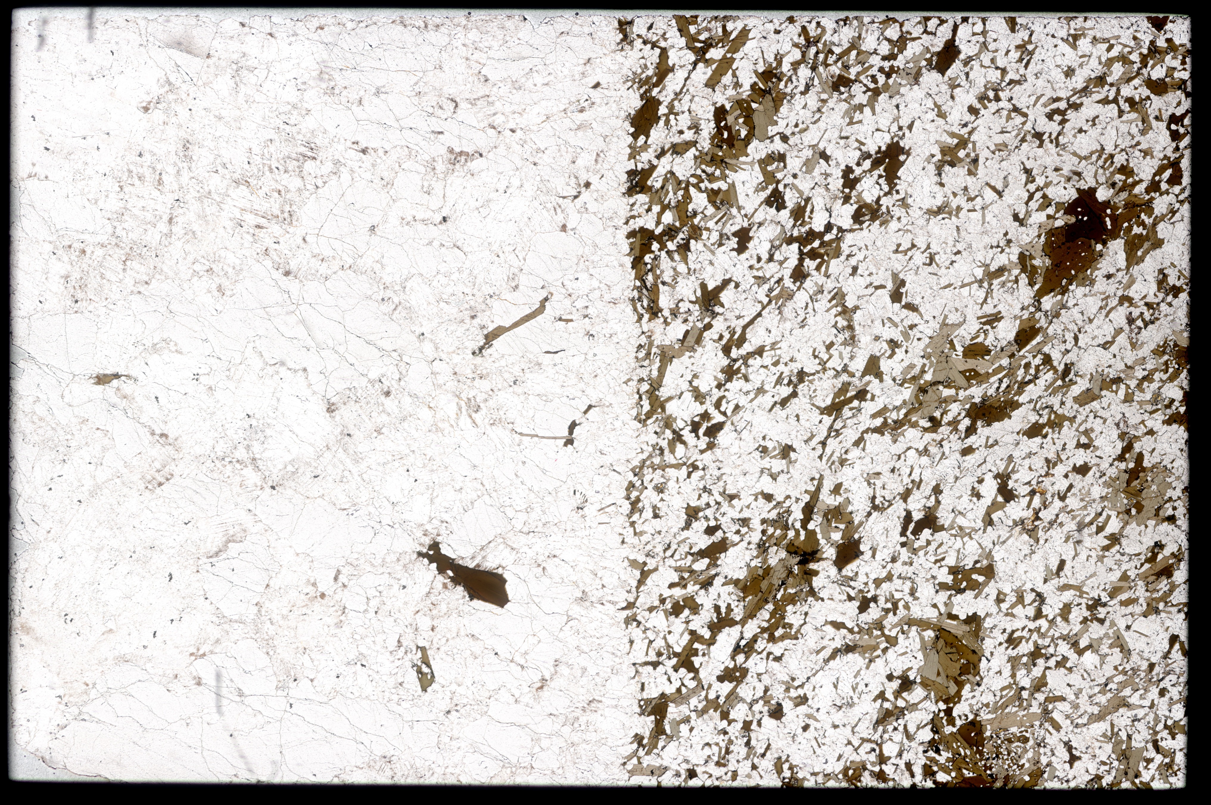 Photo of a thin section, showing a pegmatite (left) - country rock (right) contact